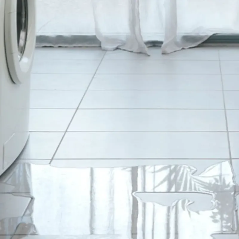 Appliance Leak Cleanup in Wyandotte, MI