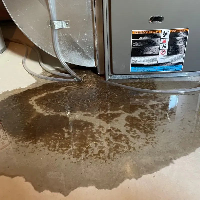 Pipe Burst and Leak Restoration in Wyandotte, MI
