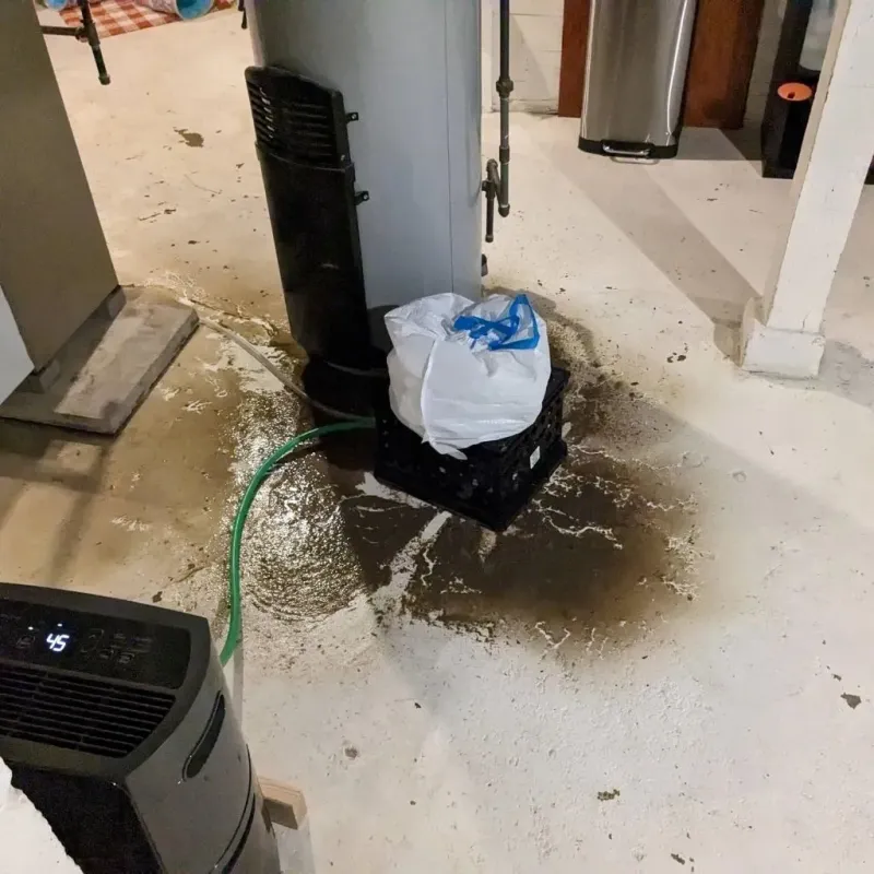 Sewage Backup Cleanup Service in Wyandotte, MI